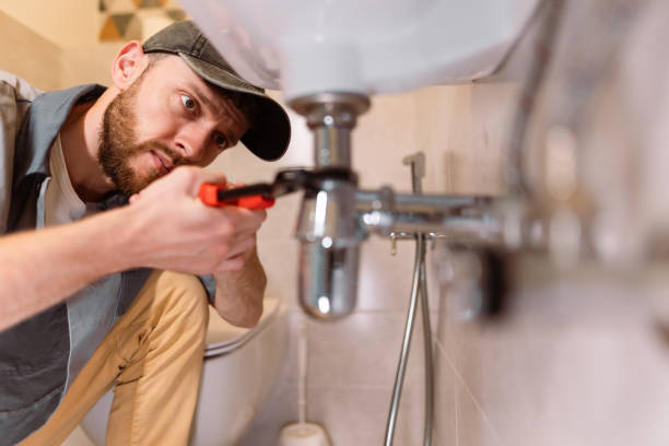 Best Plumbing Services Near Me  in Gretna, NE